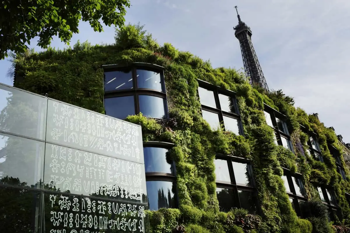 Musée du Quai Branly Tickets: What to Know